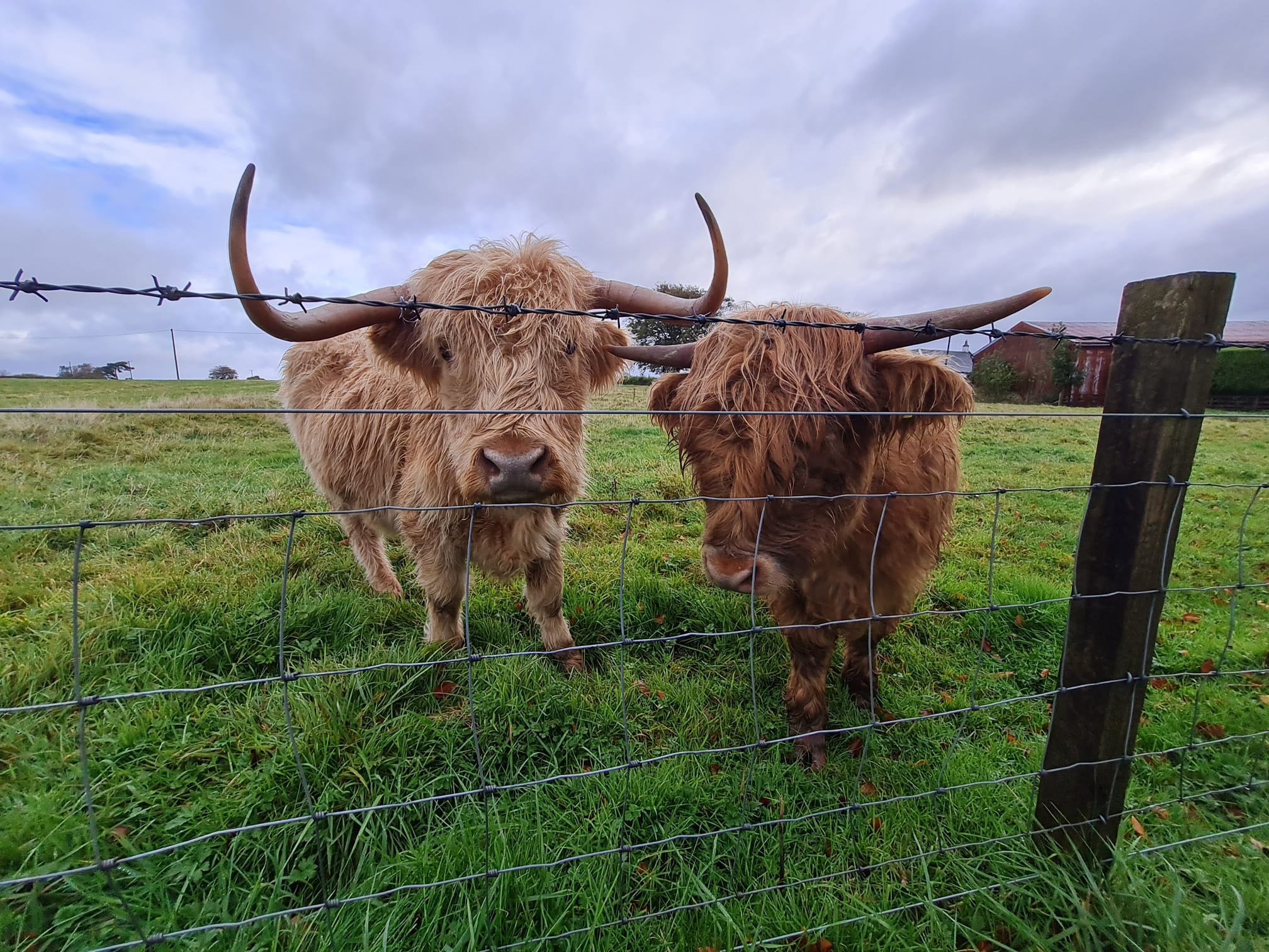 A view of Craigbank Farm